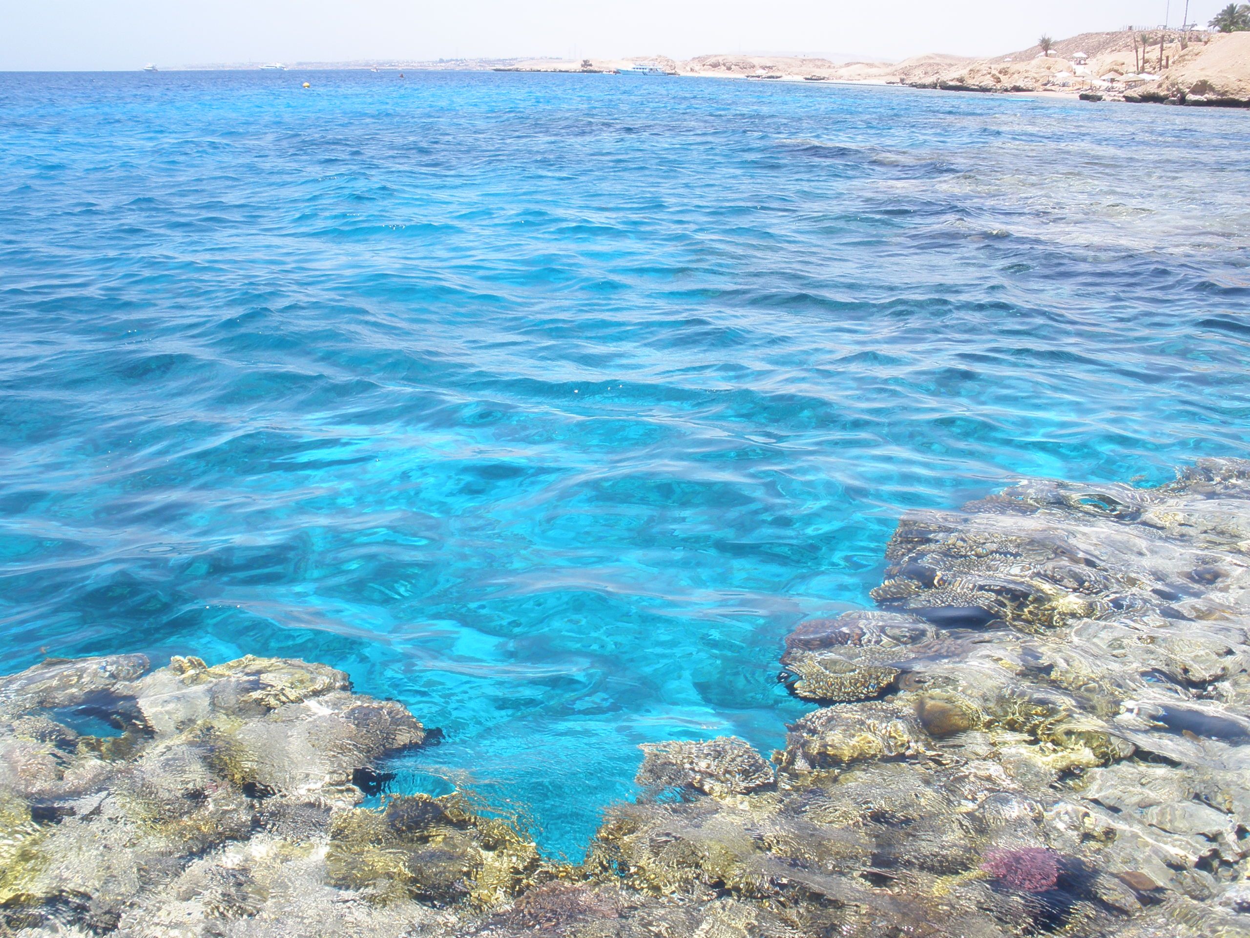 Египет красное море океан