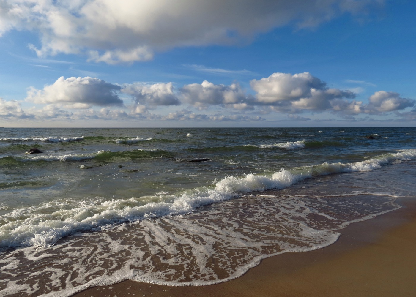 Ганзен Балтийское море