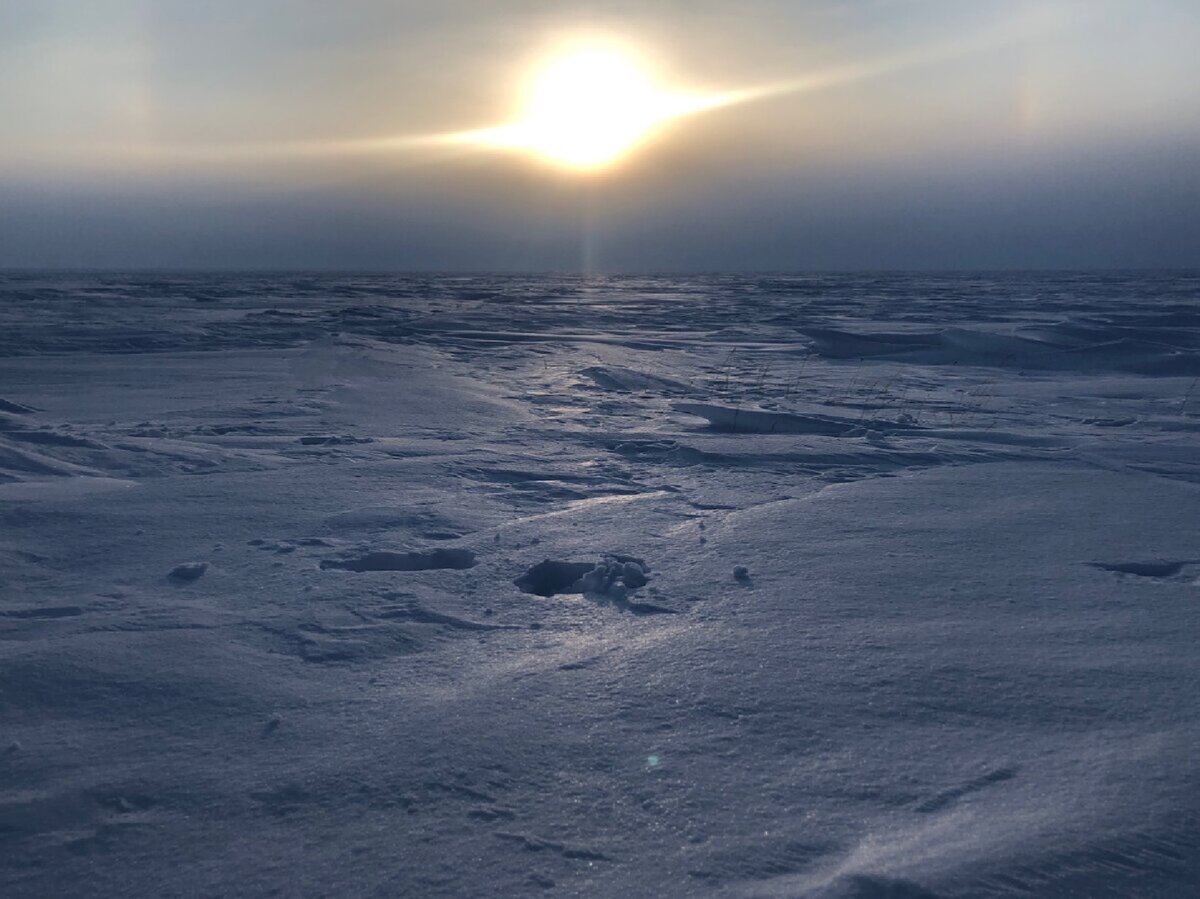 Солнце в Арктике