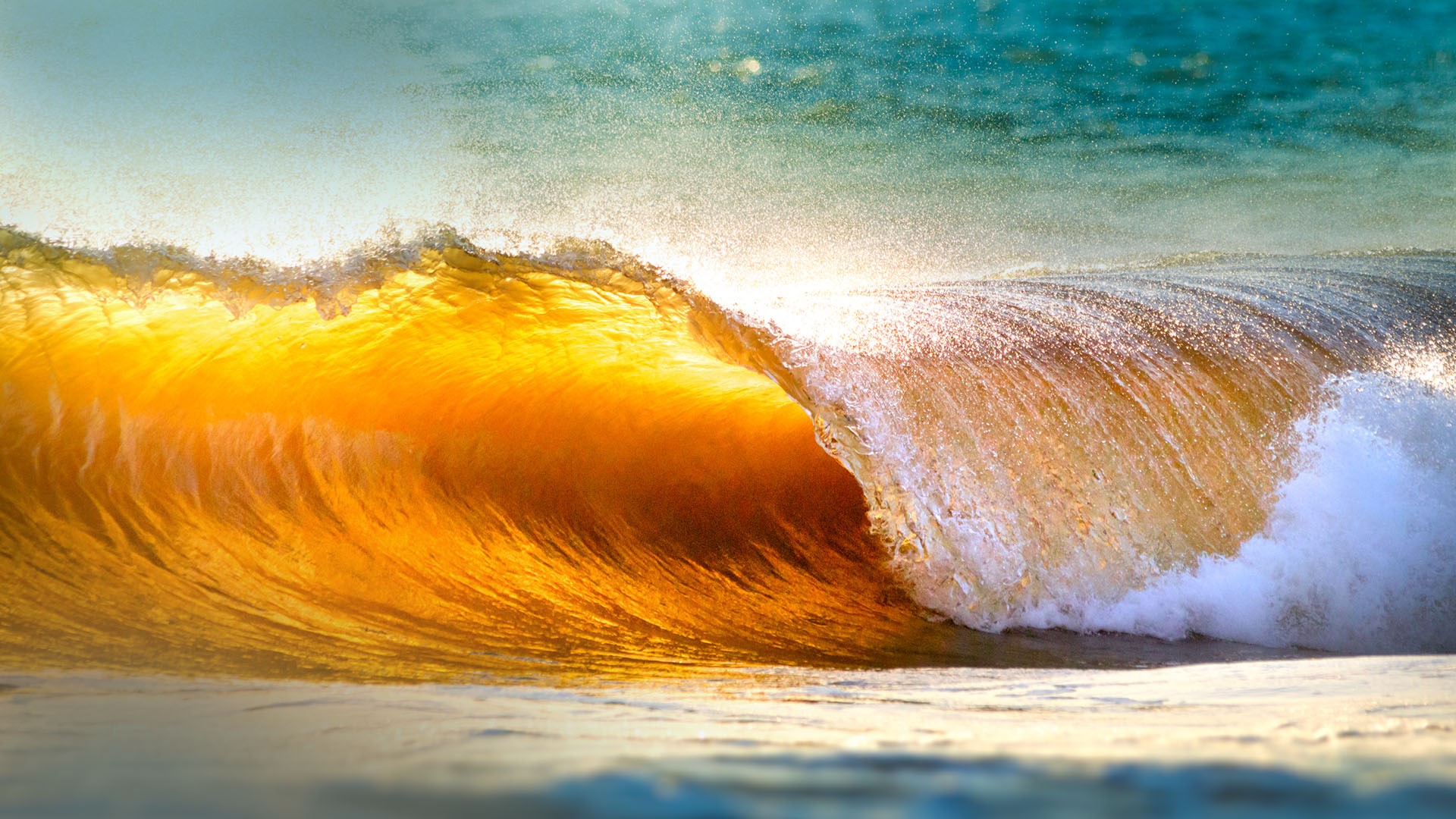 Желтый шторм. Море, волны. Желтое море. Желтое море берег. Волна и солнце.