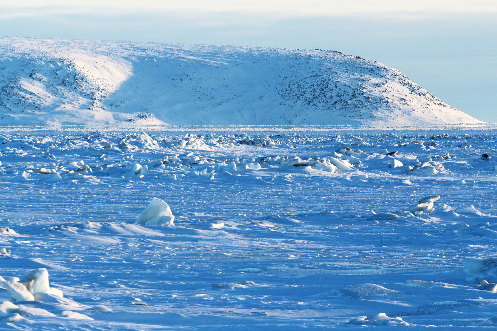 Берег ледовитого океана россия. Берингово море. Чукотское море Северный Ледовитый океан. Северный Ледовитый океан Берингово море. Чукотка берег Ледовитого океана.