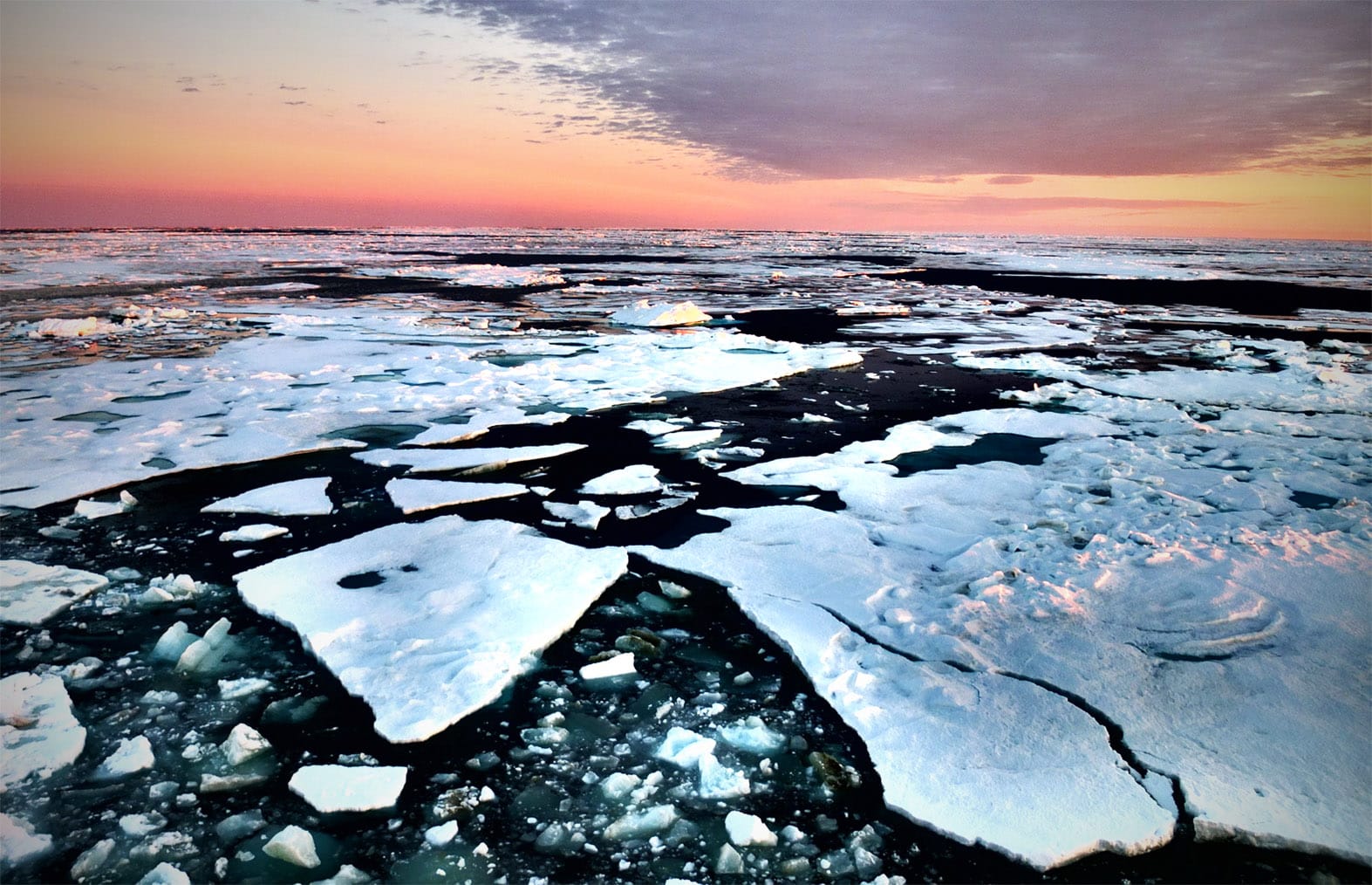 Восточно Сибирское море ледовитость