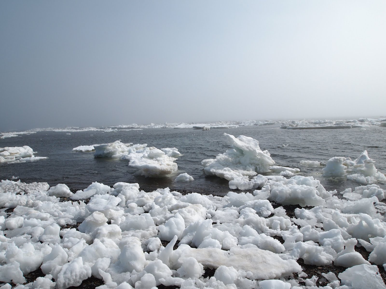 Замерзаемость Восточно Сибирского моря