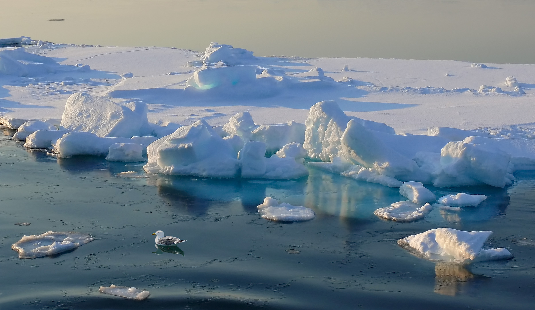 Восточно Сибирское море айсберги