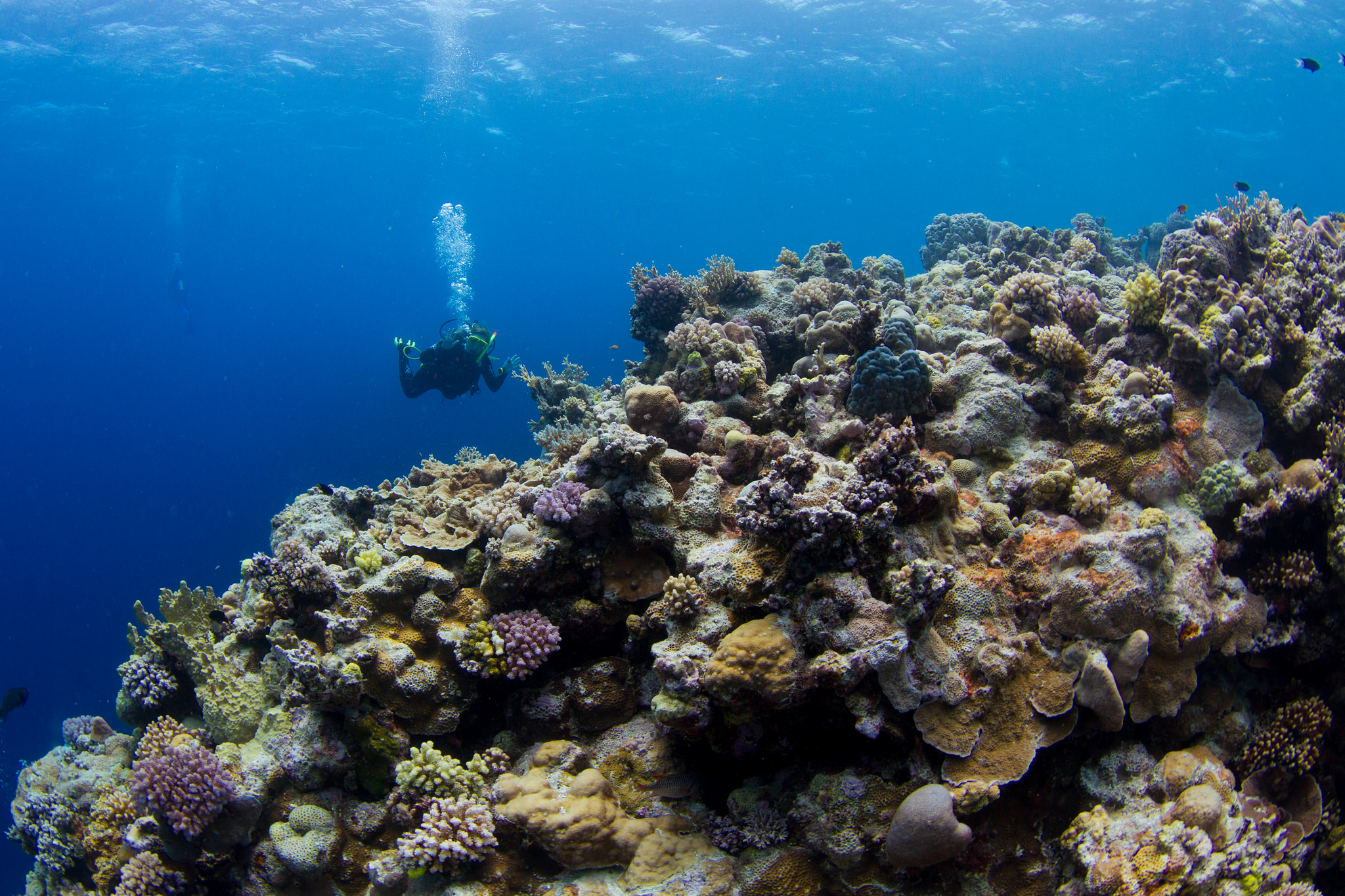Большой Барьерный риф в коралловом море