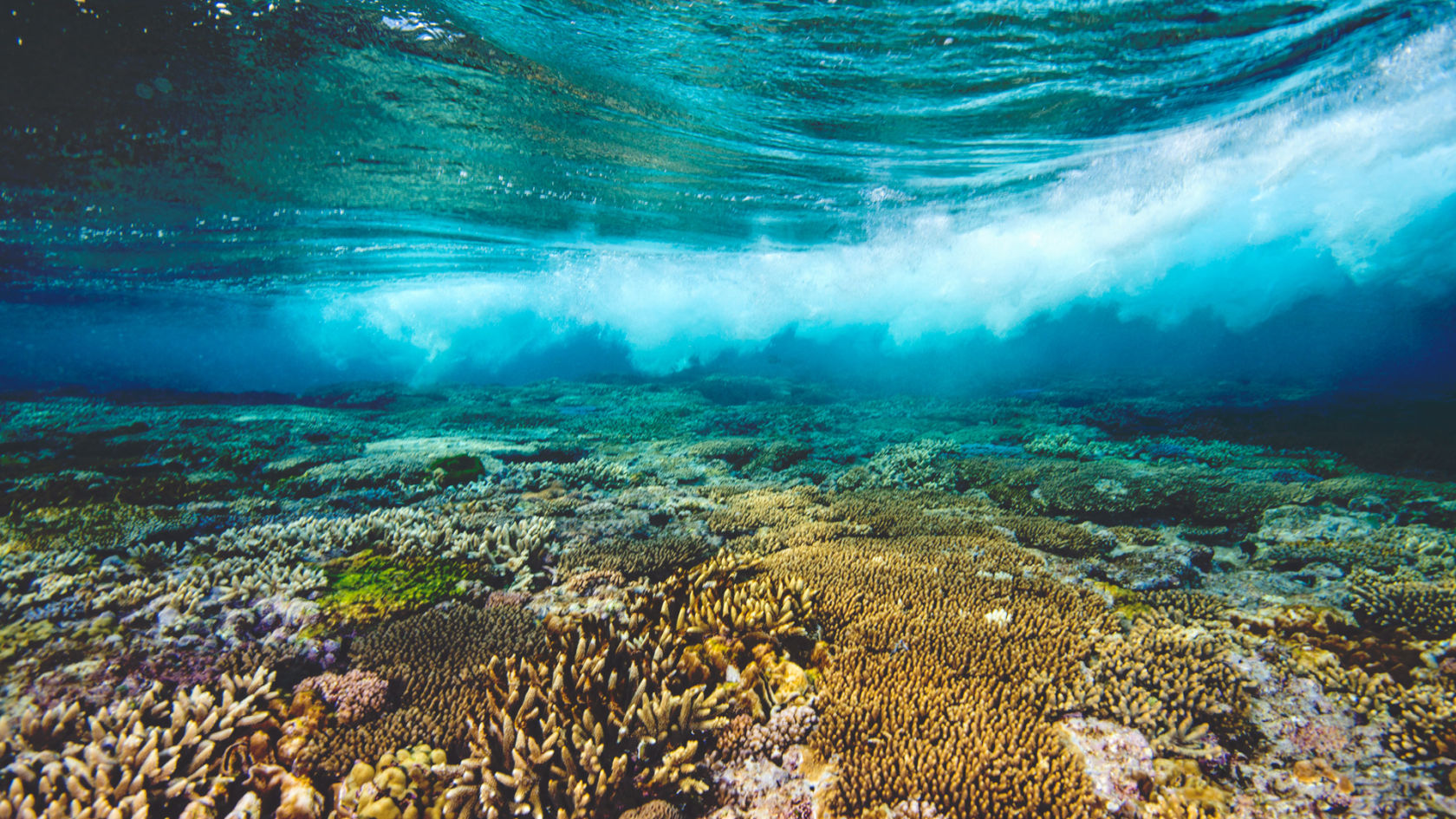 Большой Барьерный риф-самый большой в мире коралловый риф