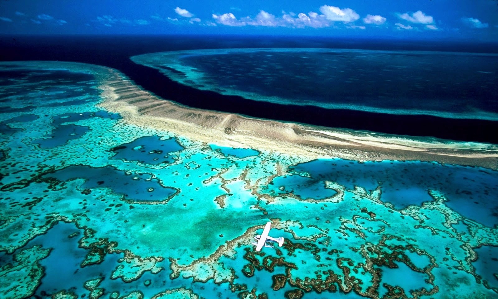 Барьерный риф в австралии