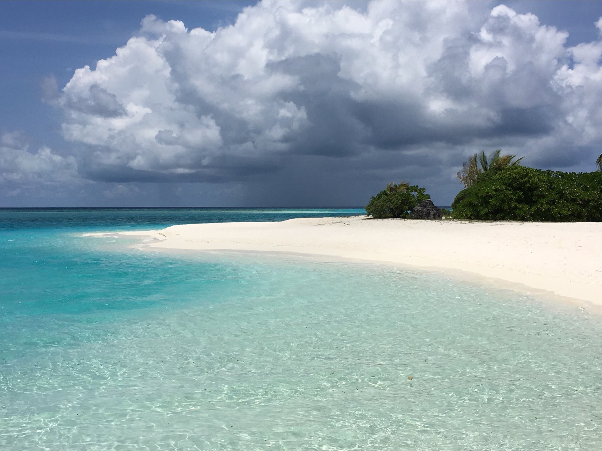 Лаккадивское море Мальдивы