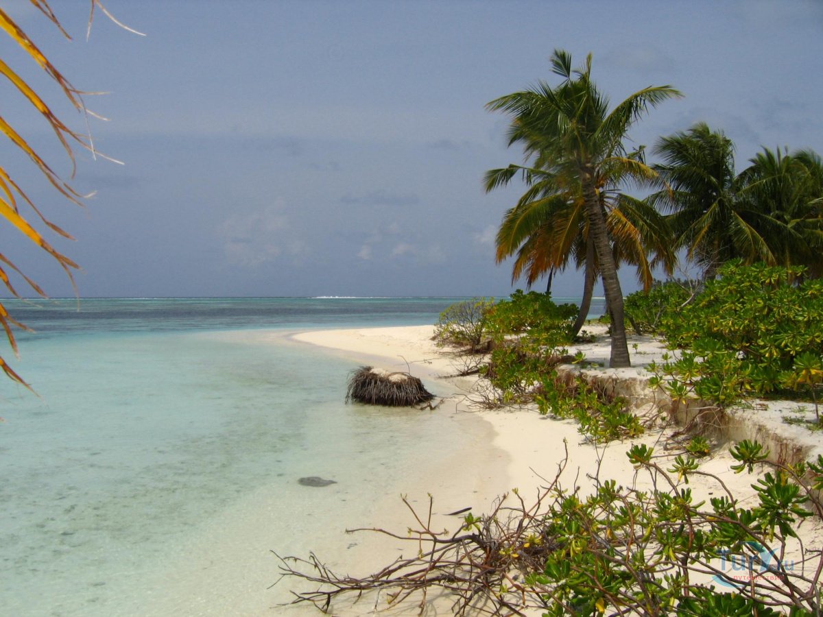 Лаккадивские острова индийские Мальдивы