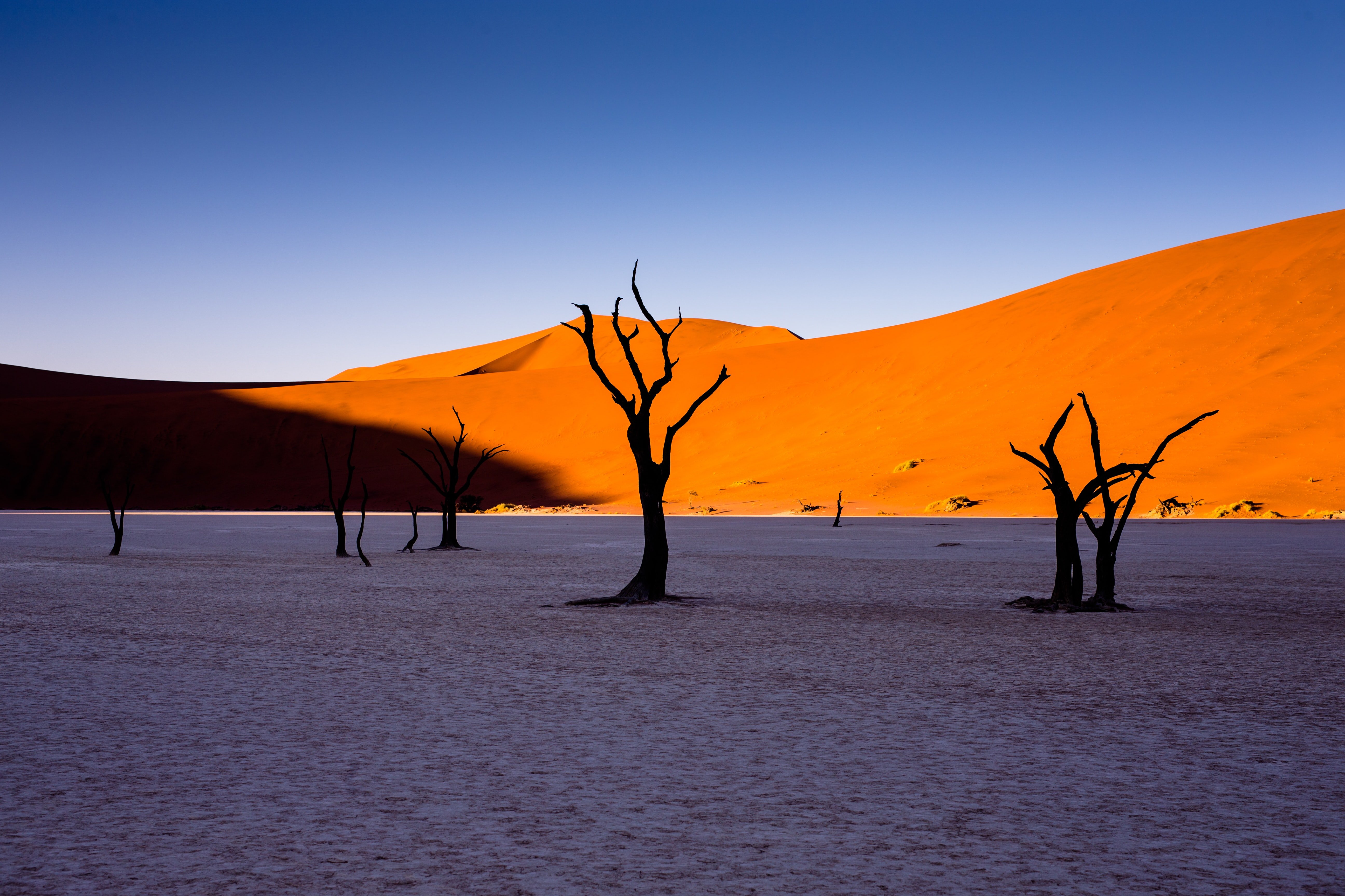 Мертвая пустыня Намиб