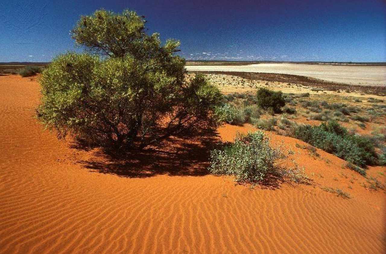 Пустыни и полупустыни австралии