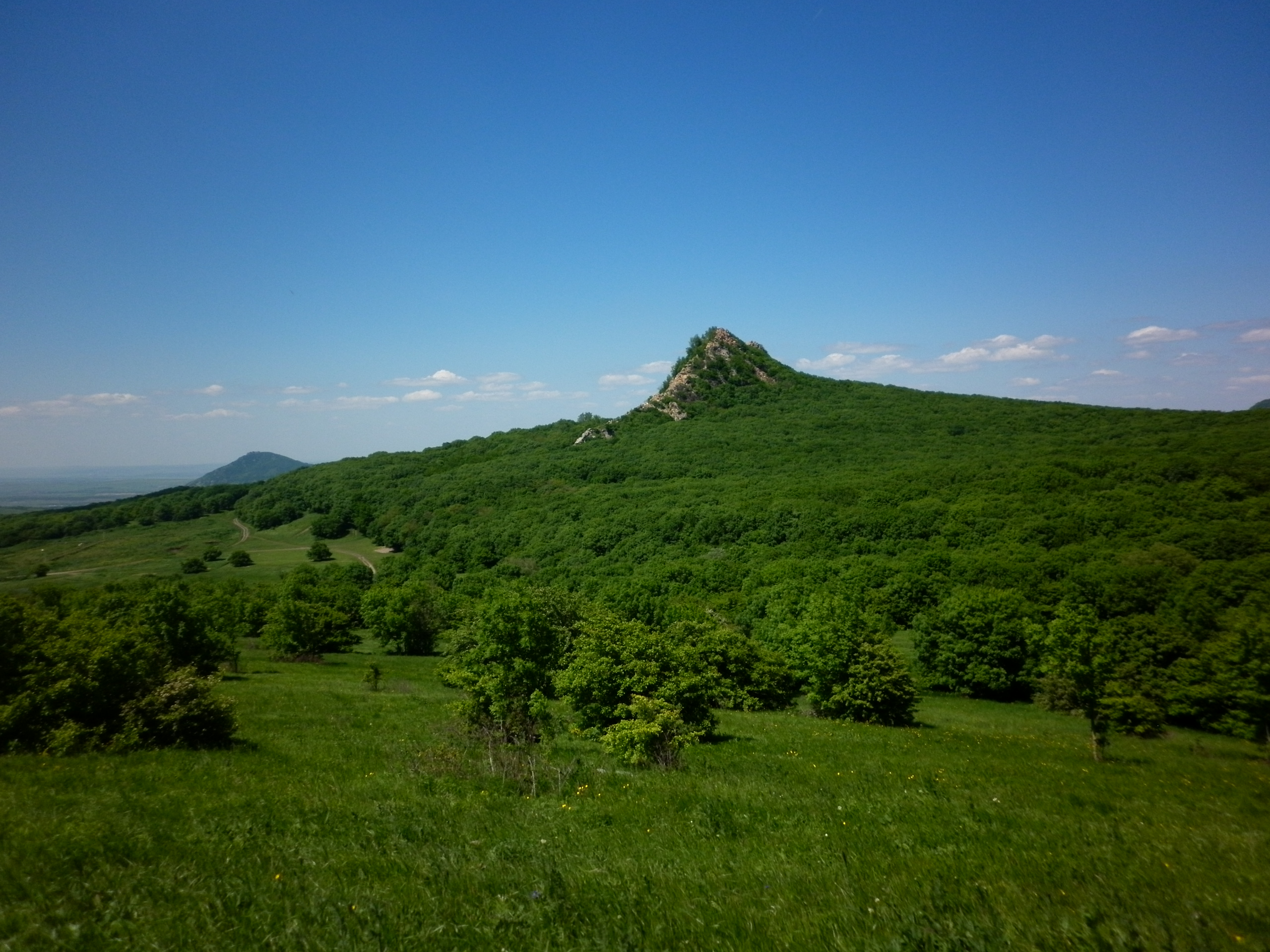 Острая (гора, Пятигорье)