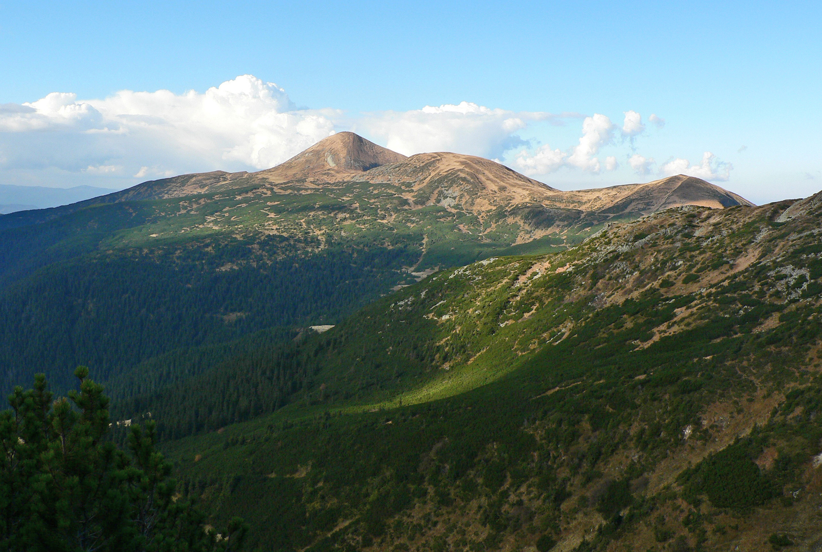 Гора Говерла в Карпатах фото
