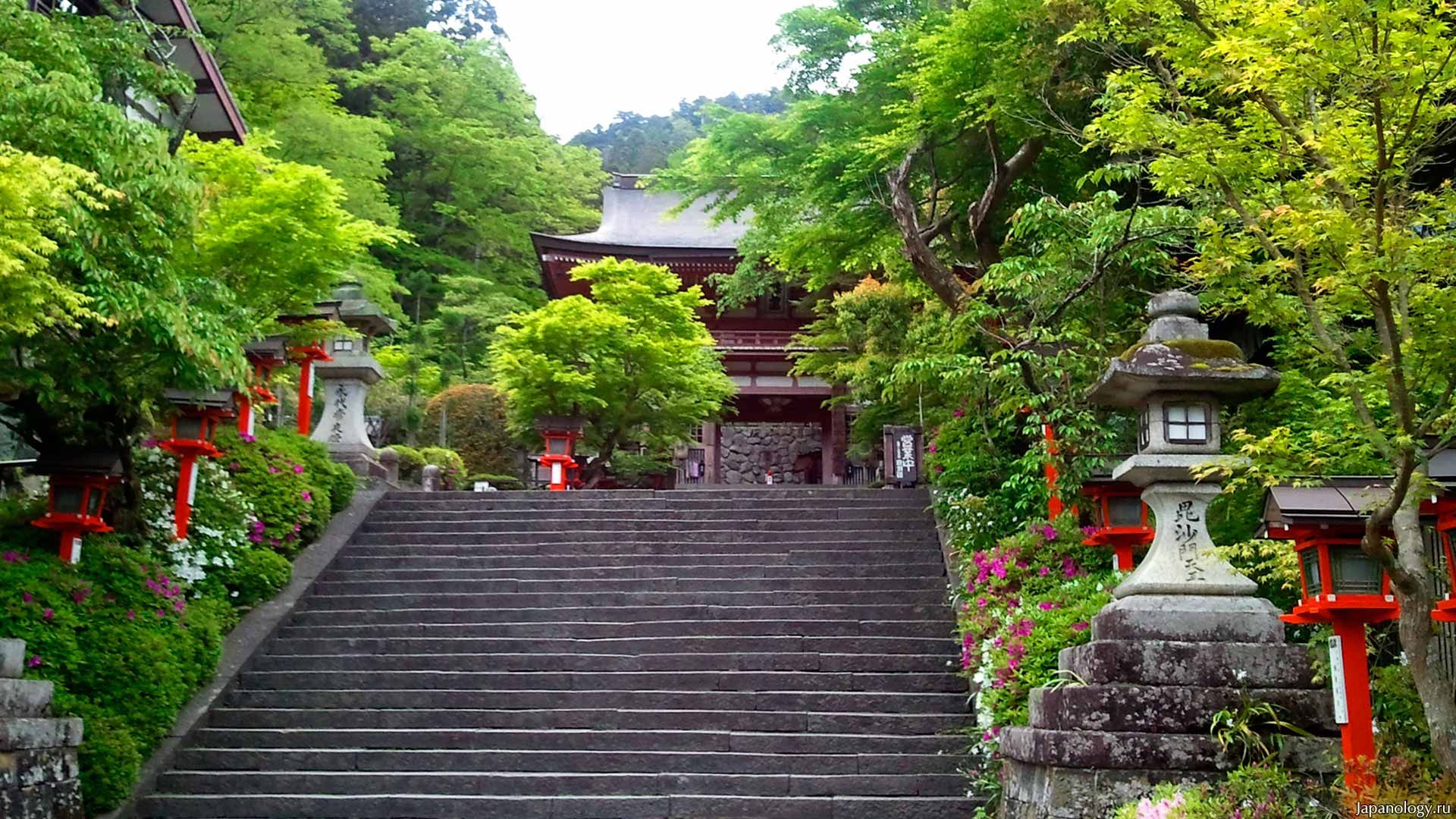Гора курама в Киото Япония