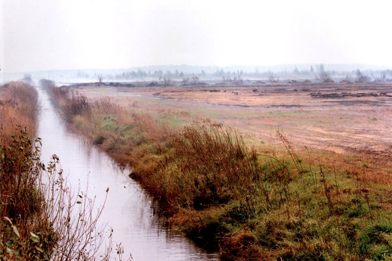 Осушенные Белорусские болота