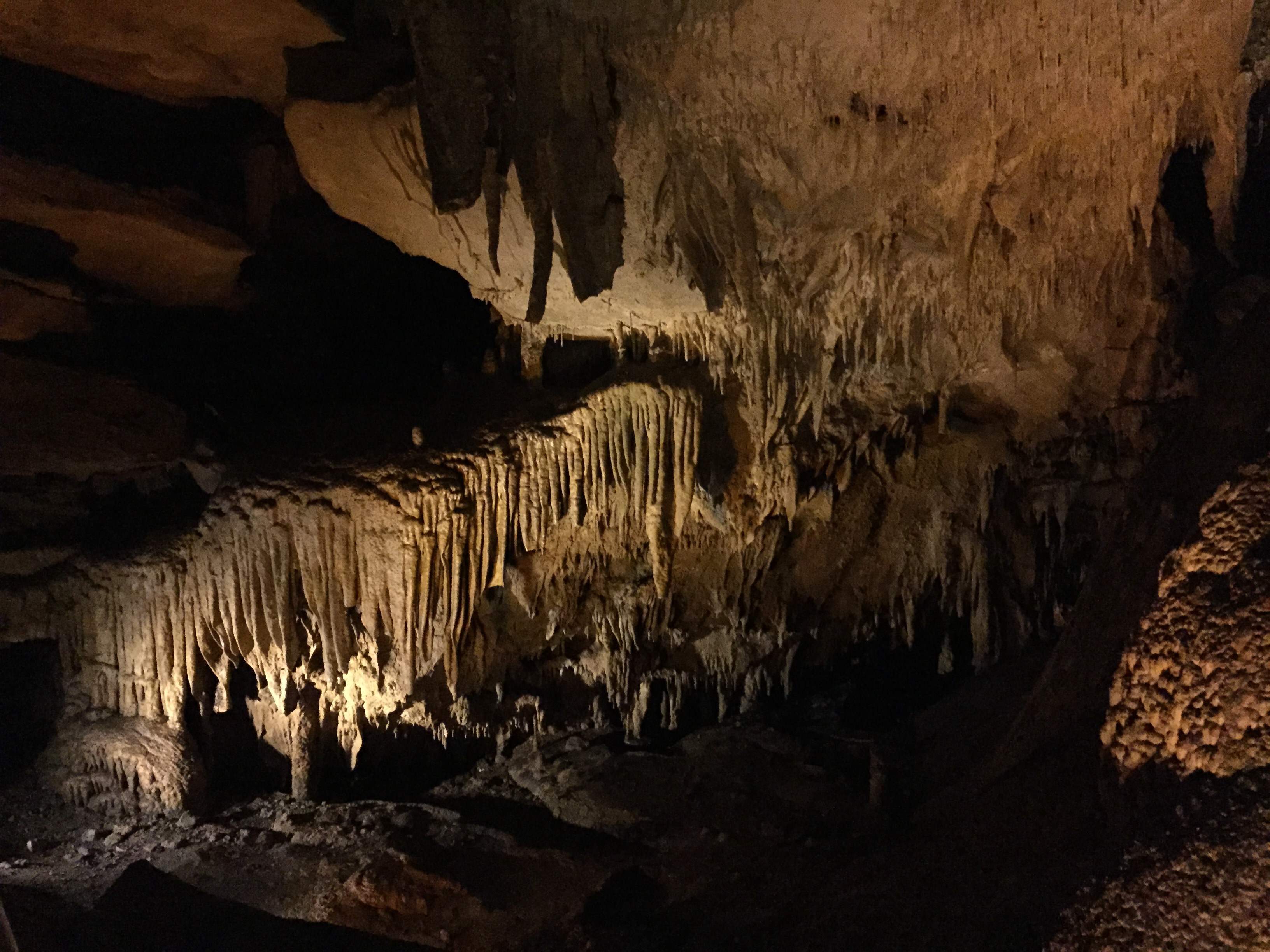Мамонтова пещера в северной америке. Национальный парк Мамонтова пещера. Флинт Мамонтова пещера. Мамонтова пещера Кентукки. Национальный парк Мамонтова пещера США.