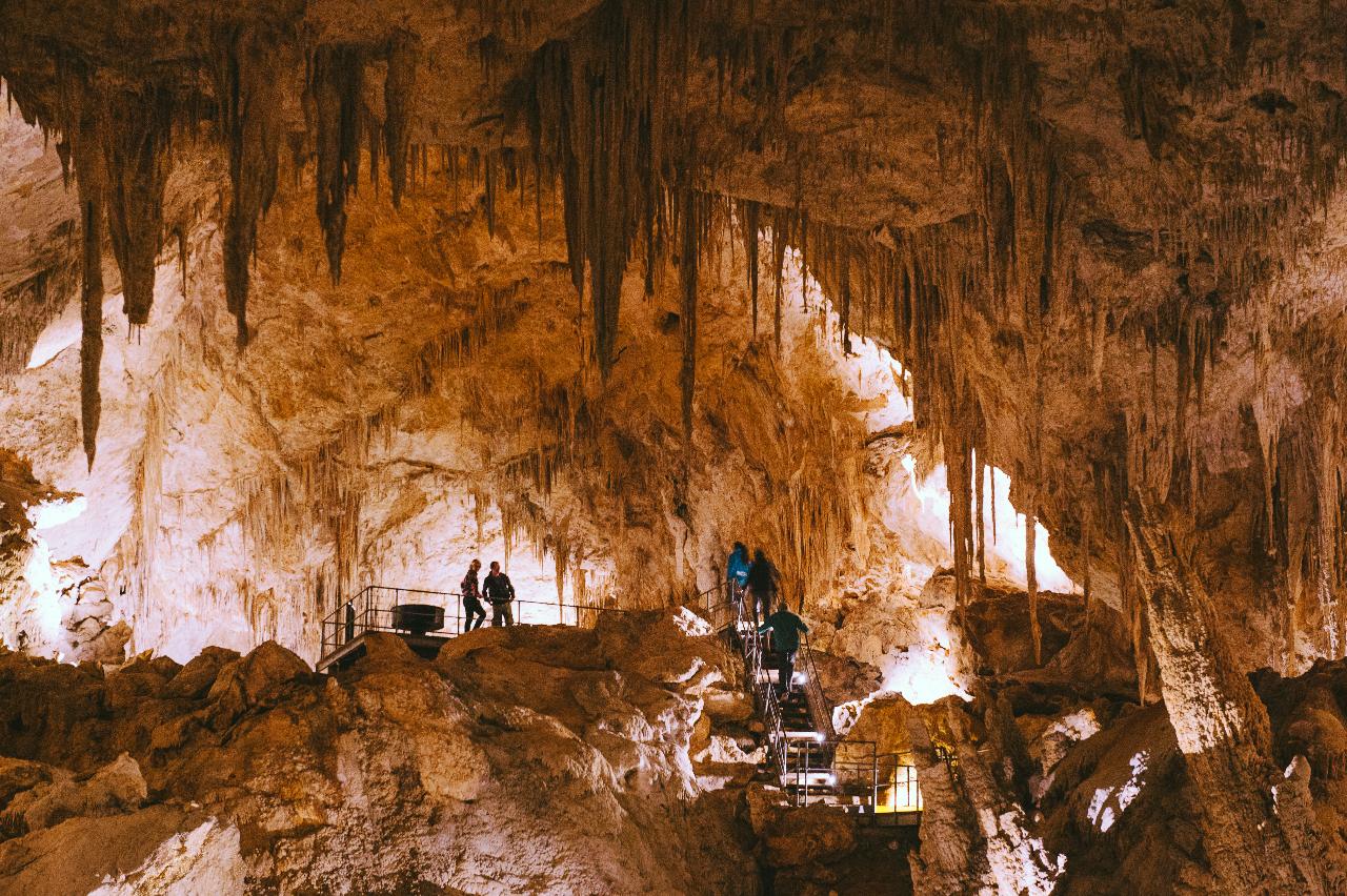 Мамонтова пещера в северной америке. Флинт Мамонтова пещера. Национальный парк Мамонтова пещера. Аппалачи Мамонтова пещера. Флинт Ридж Мамонтова пещера.