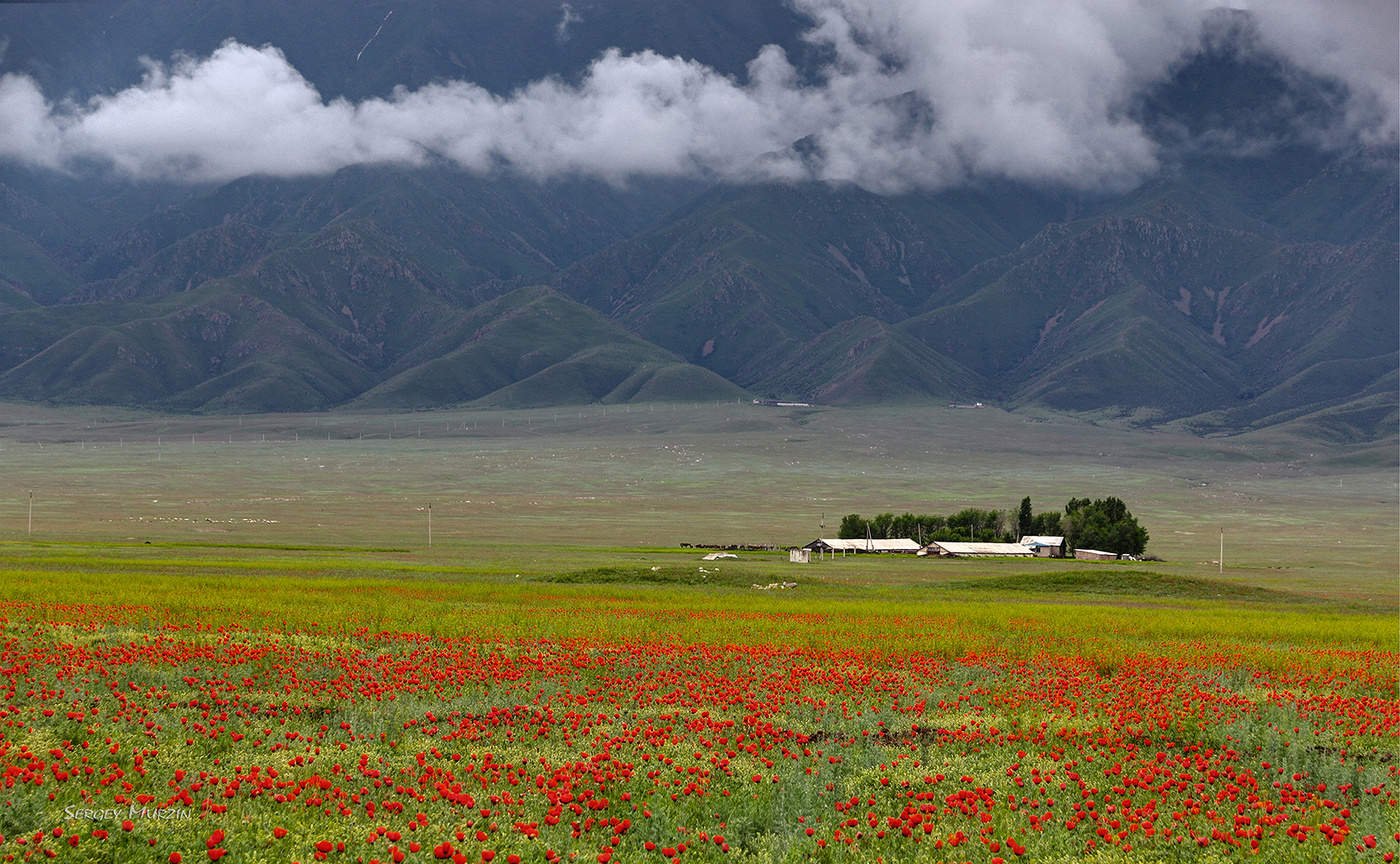 Казахстан весной