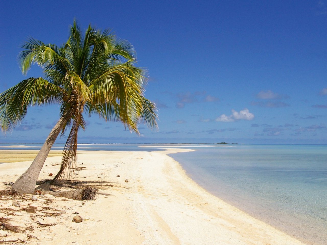 Пляж с пальмами на необитаемом острове
