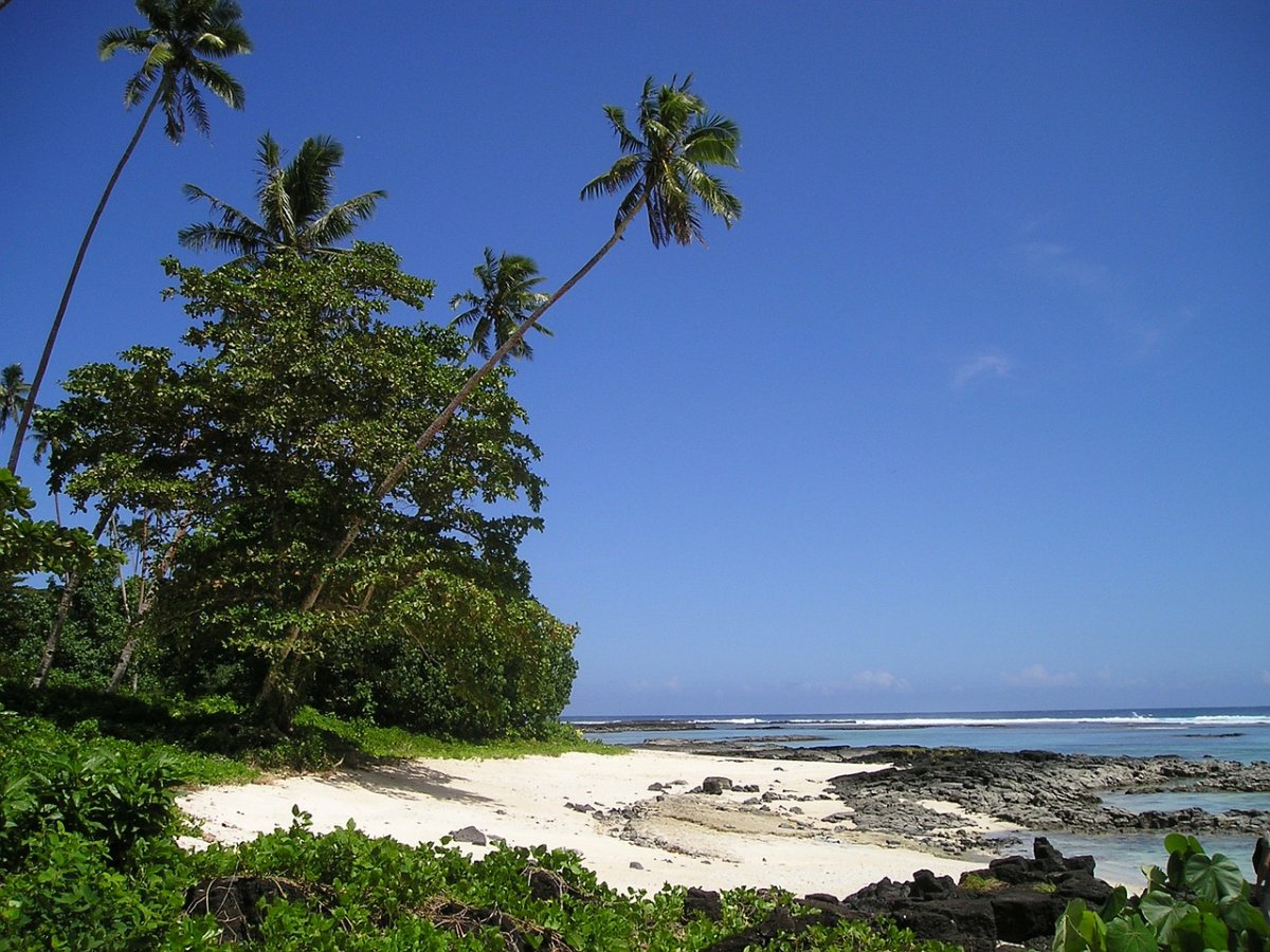 Остров с кокосами