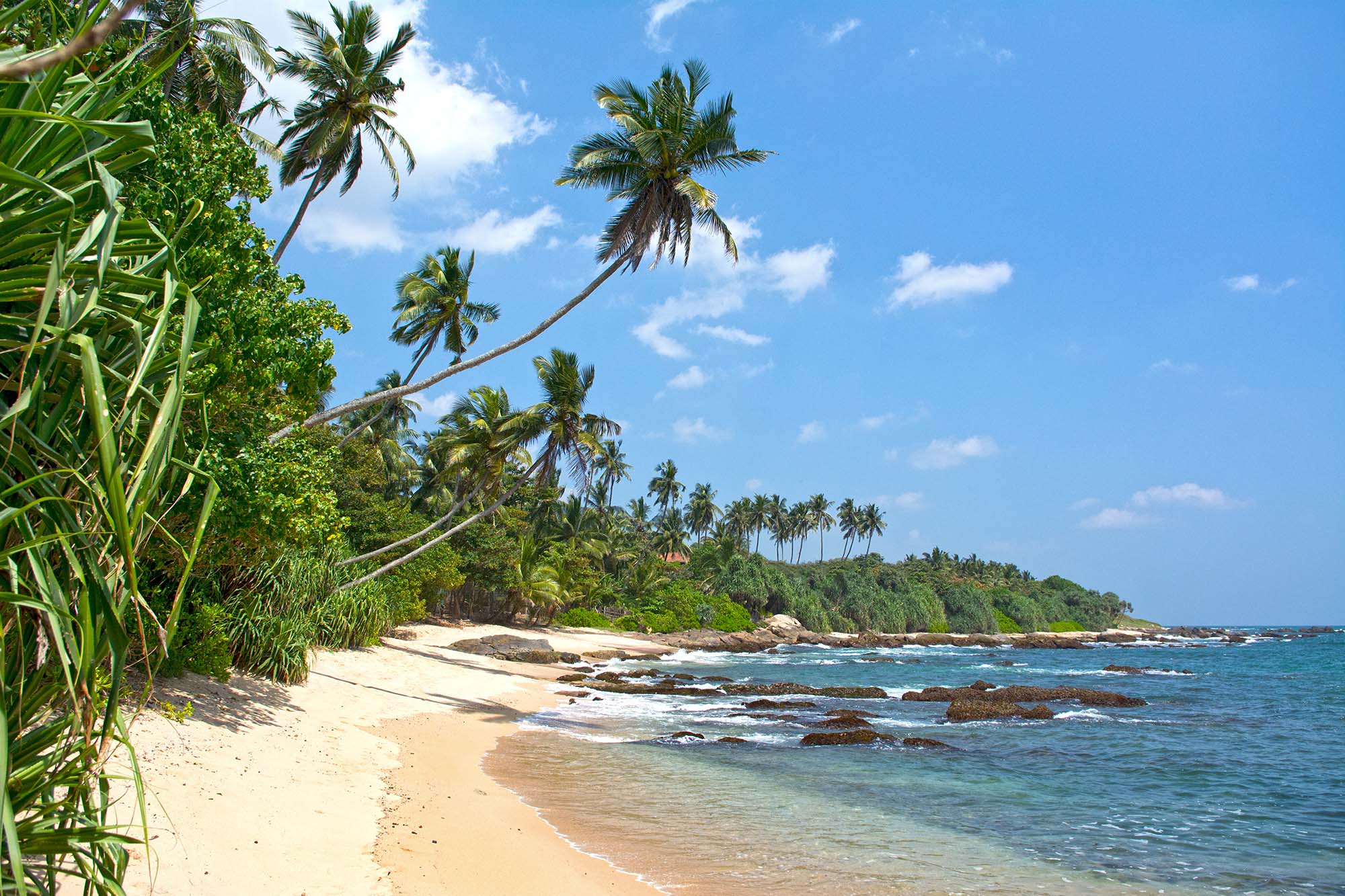 Остров муллавиту Шри Ланка