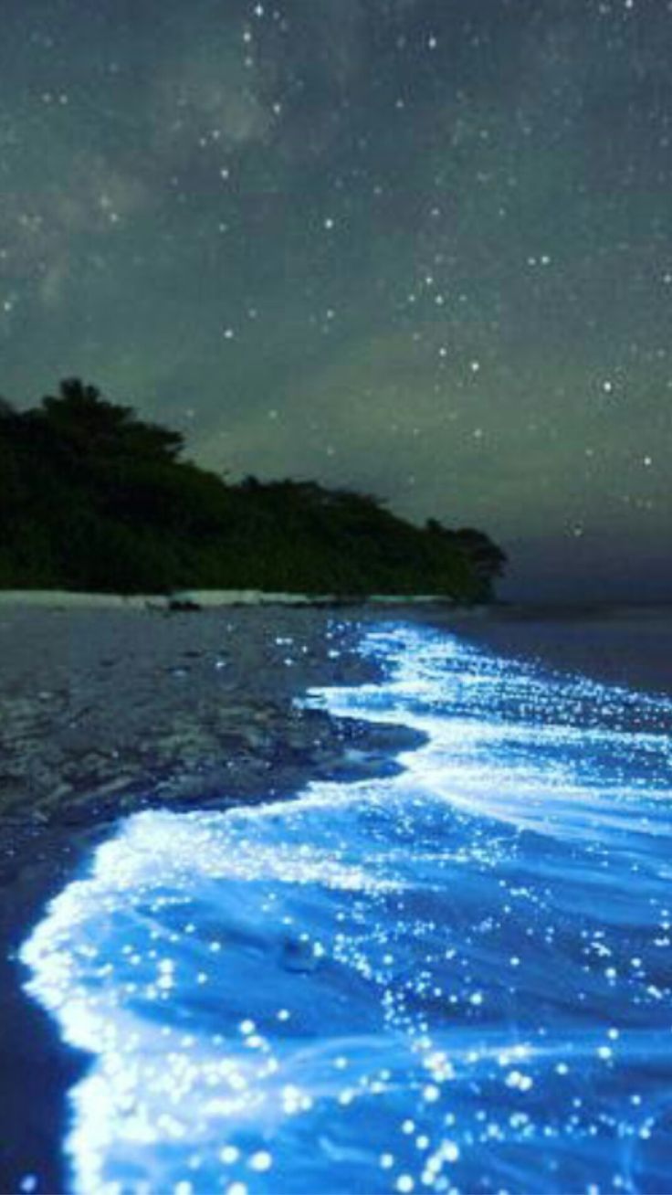 Остров Ваадху светящийся пляж