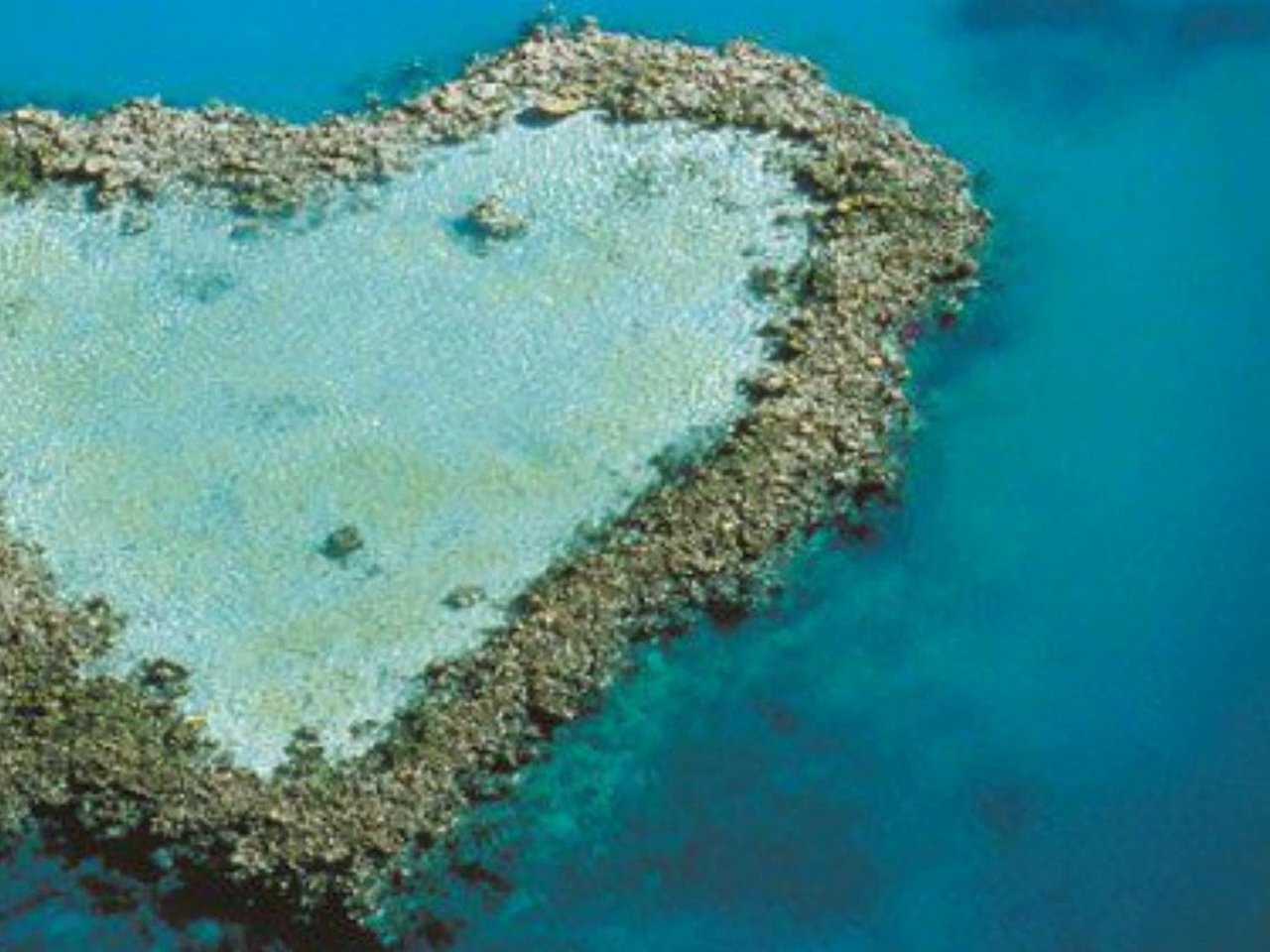 Риф в форме сердца
