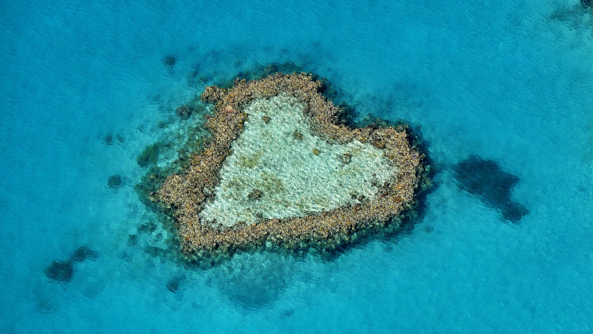 Большой Барьерный риф остров сердце