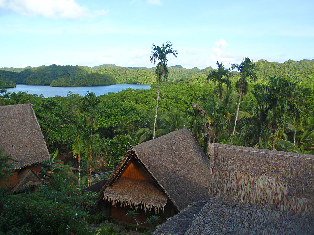 Природные ресурсы Палау