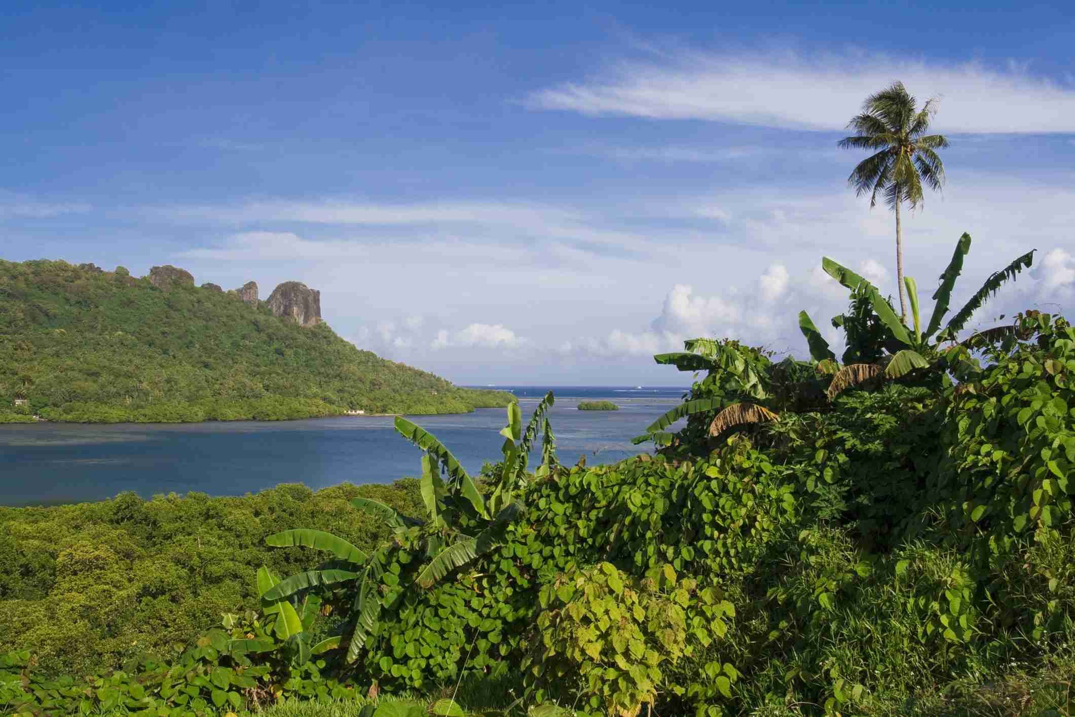 Паликир Микронезия федеративные штаты Микронезии
