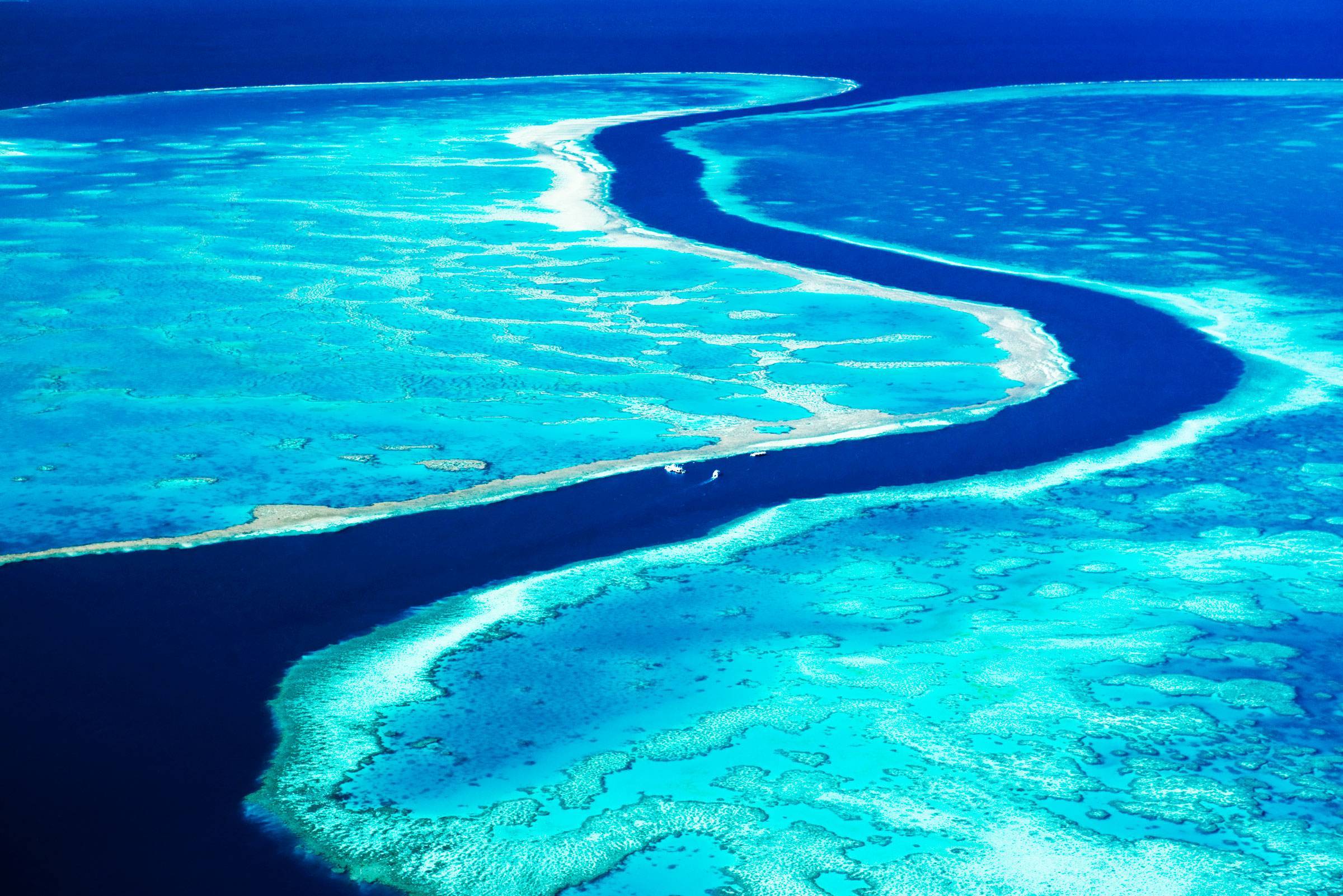 большой коралловый риф австралия