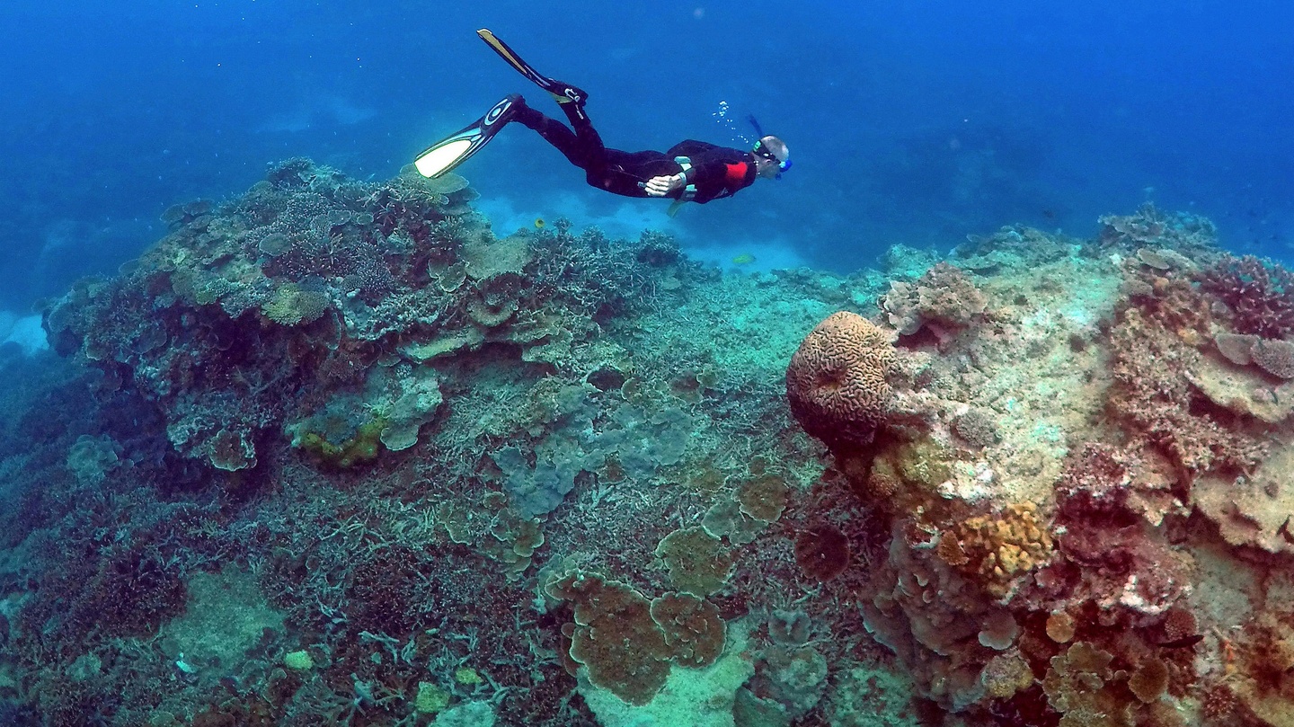Погибшие коралловые рифы
