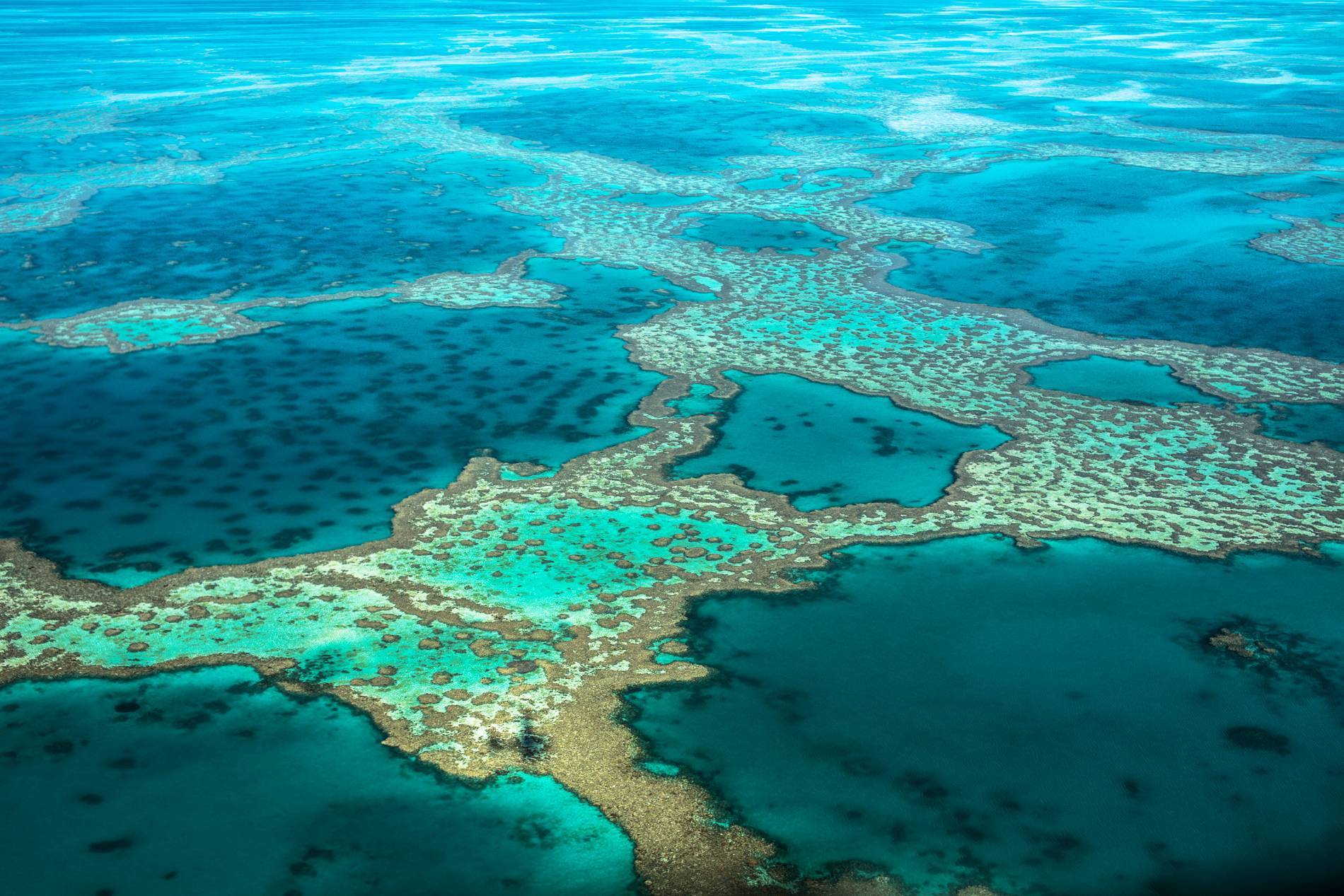 Большой барьерный риф ответ. Большой Барьерный риф Австралия. Коралловый риф в Австралии. Большой Водораздельный риф в Австралии. Сидней Барьерный риф.