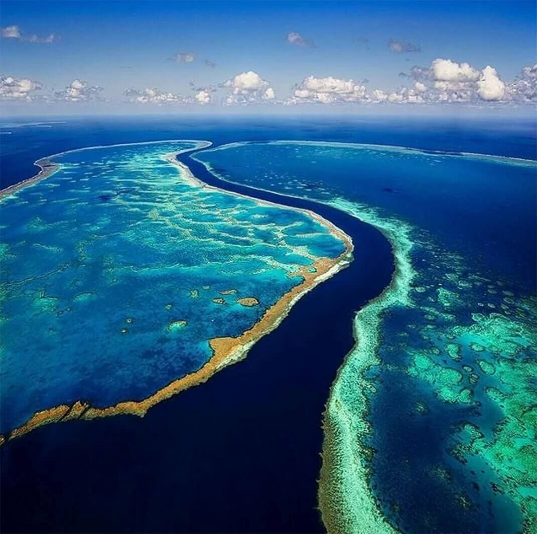 большой риф австралия