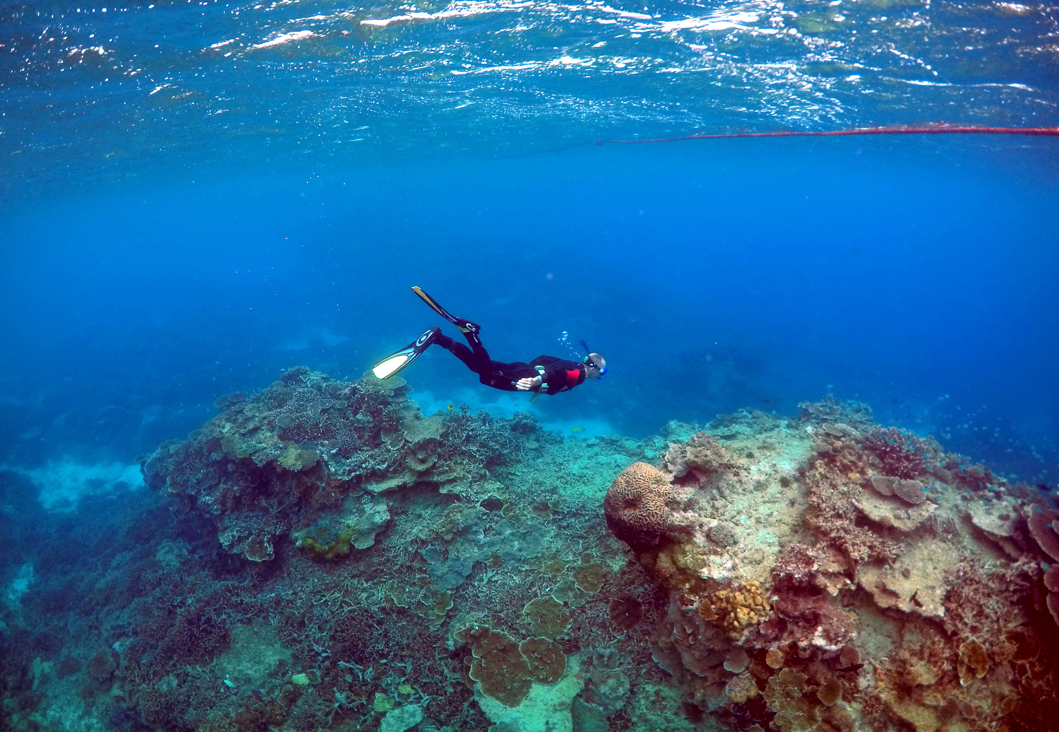 Картинки большого барьерного рифа в Австралии