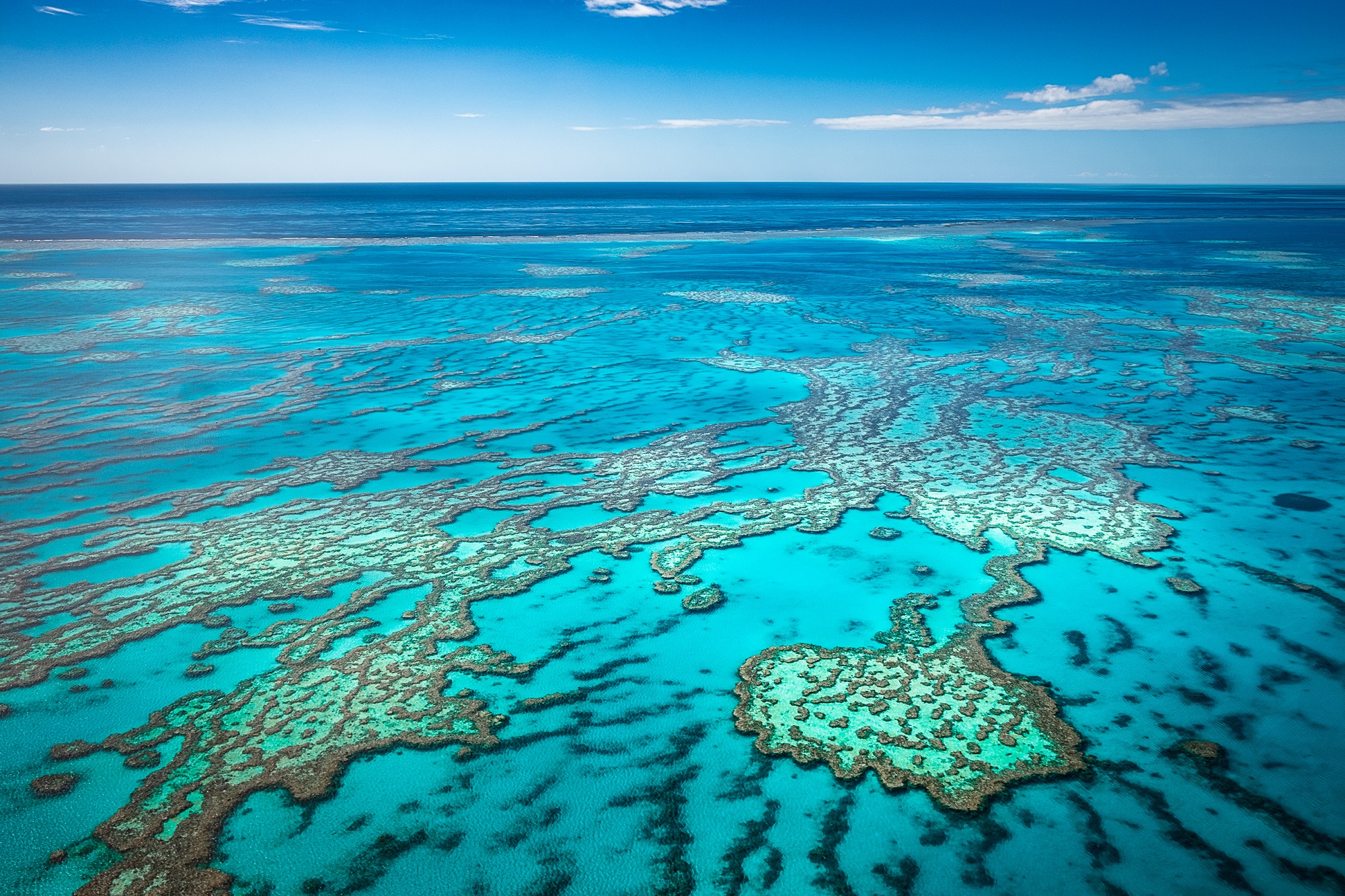 Большой риф в австралии