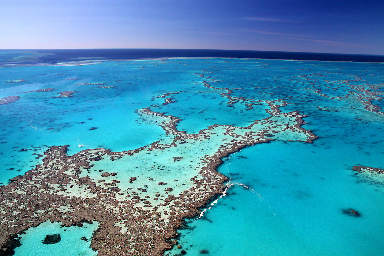 фото большой барьерный риф в австралии