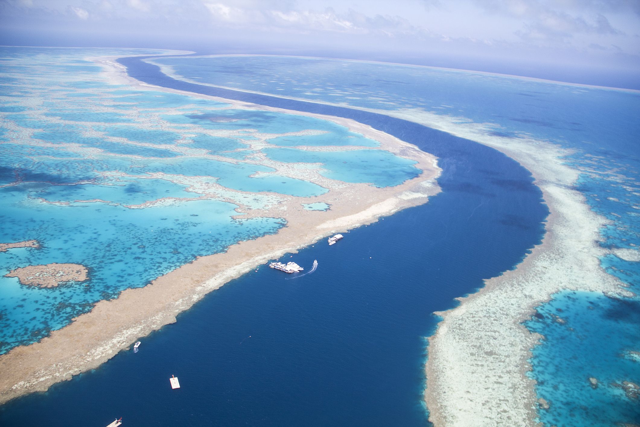 Большой Барьерный риф (the great Barrier Reef)