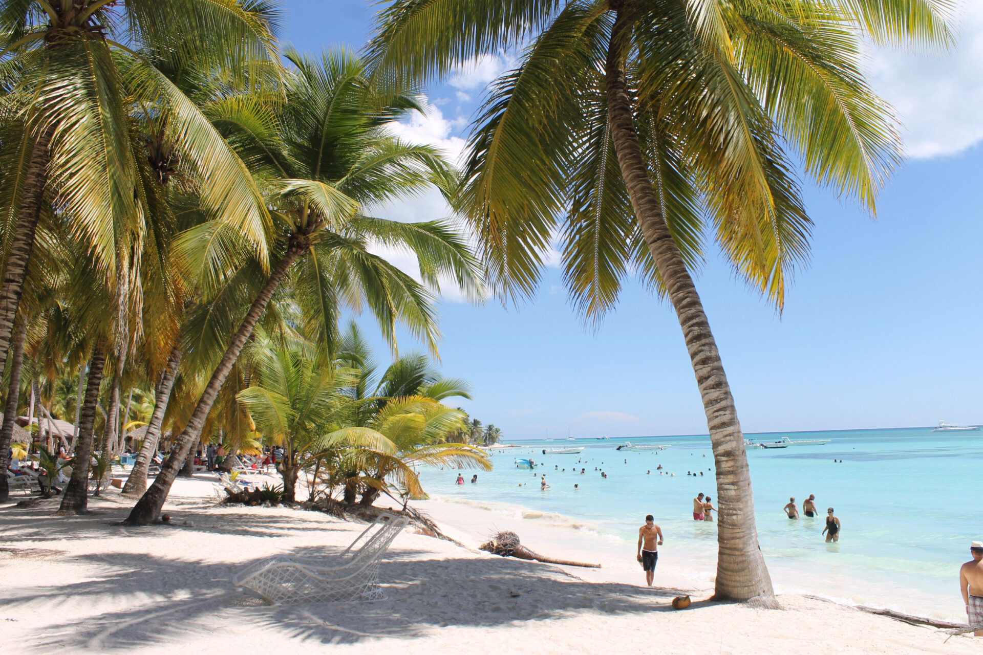 Доминиканская Республика 🇩🇴, остров Саона, черепахи