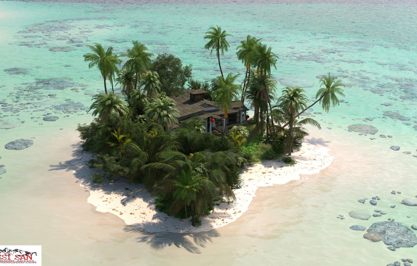 Необитаемый остров пальмы