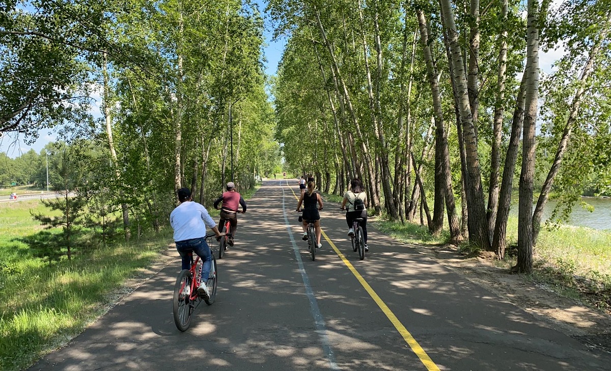 Велодорожки на острове Татышев в Красноярске