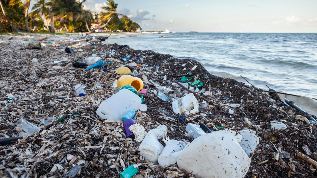 Какие реки выносят в мировой океан больше всего пластика