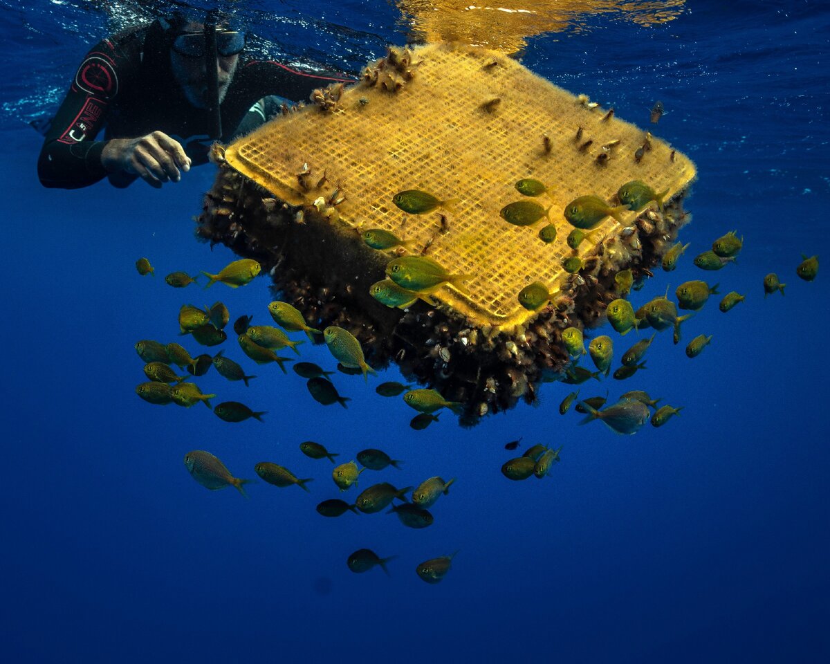 Остров из пластика в тихом океане фото из космоса