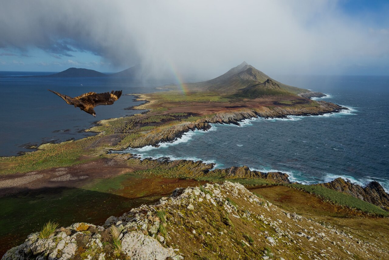 Фарерские и Фолклендские острова