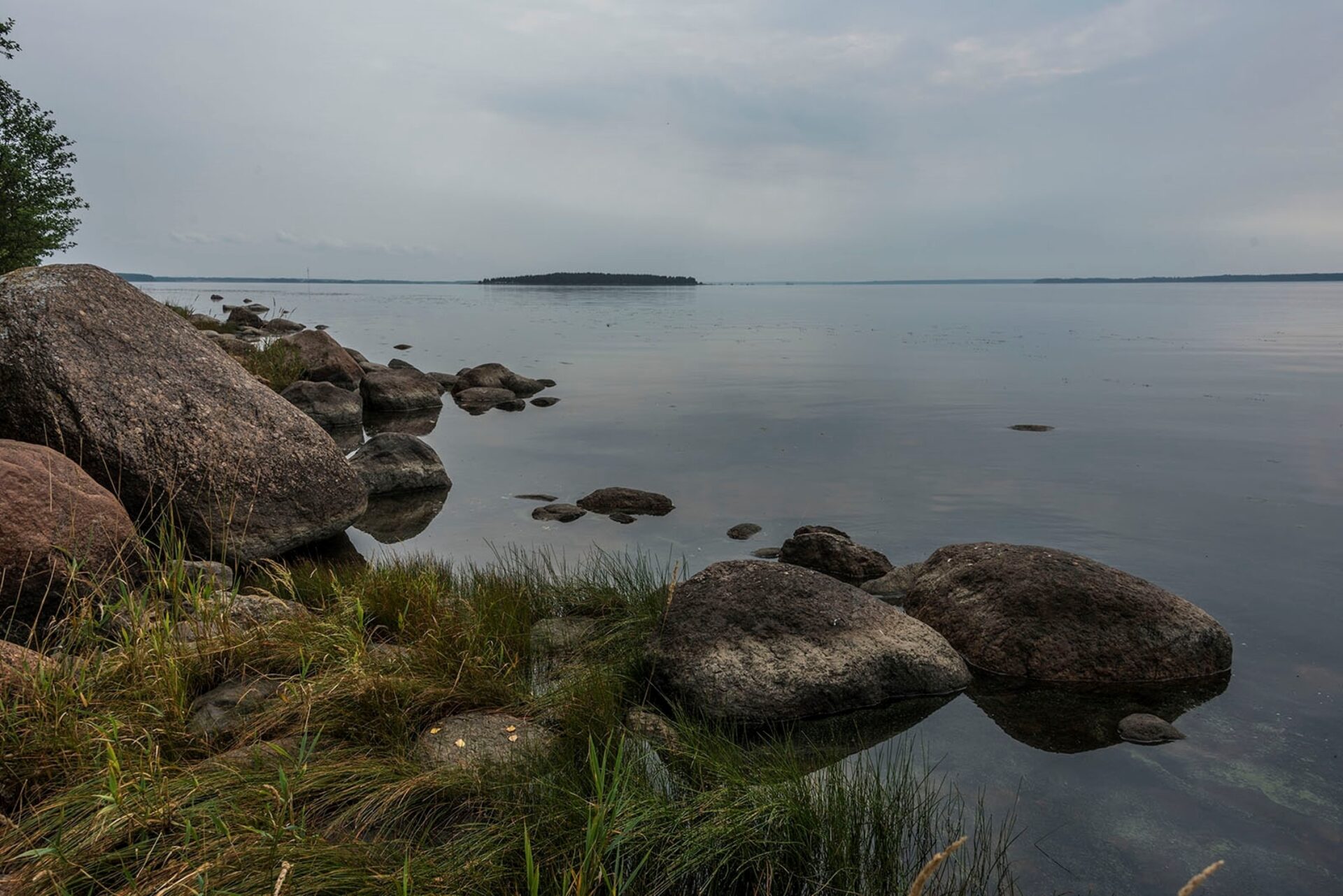 Кардинбокс финский залив