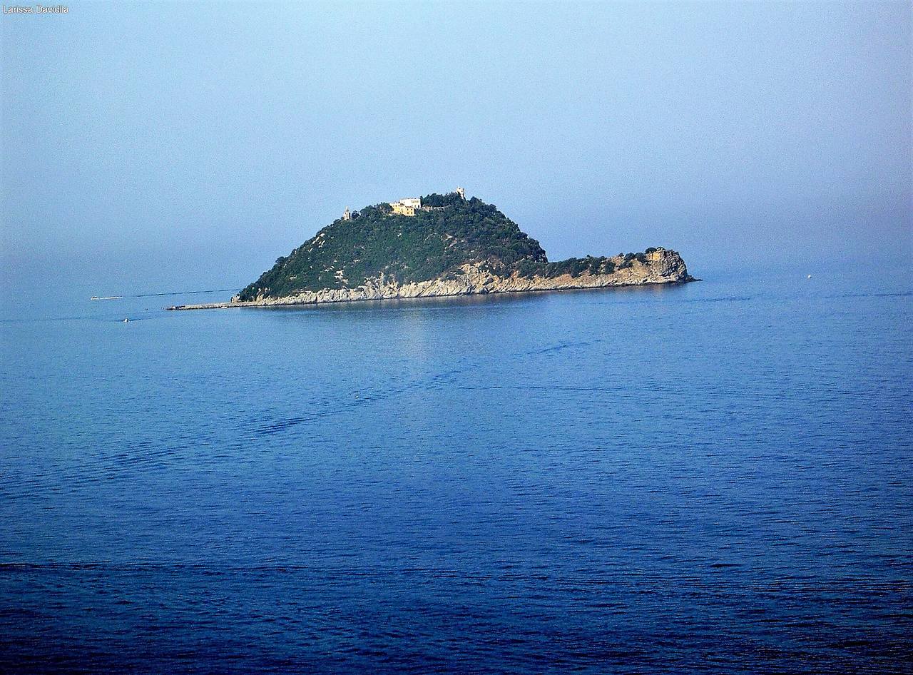 Черепаший остров фото