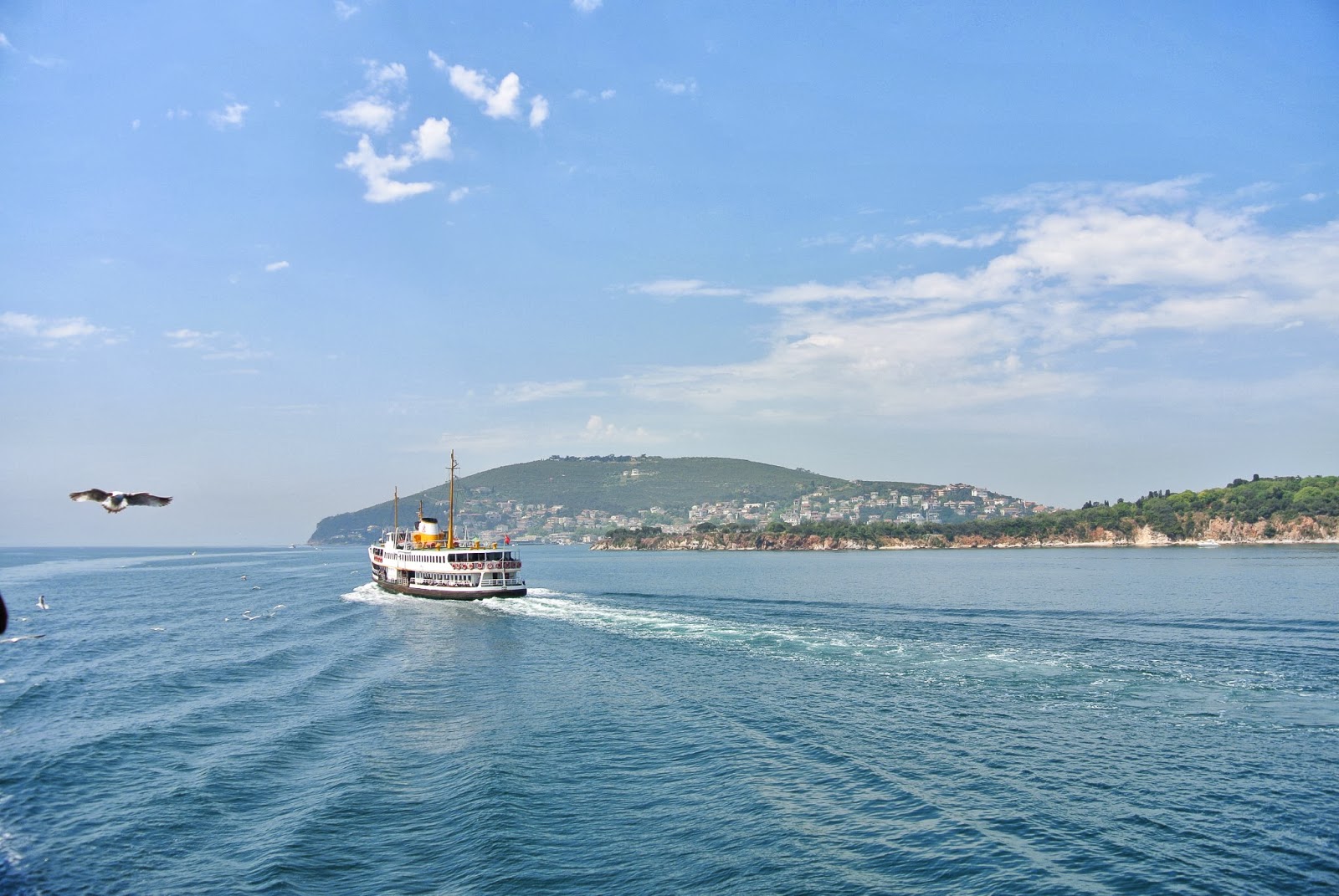 Принцевы острова в Стамбуле пляжи
