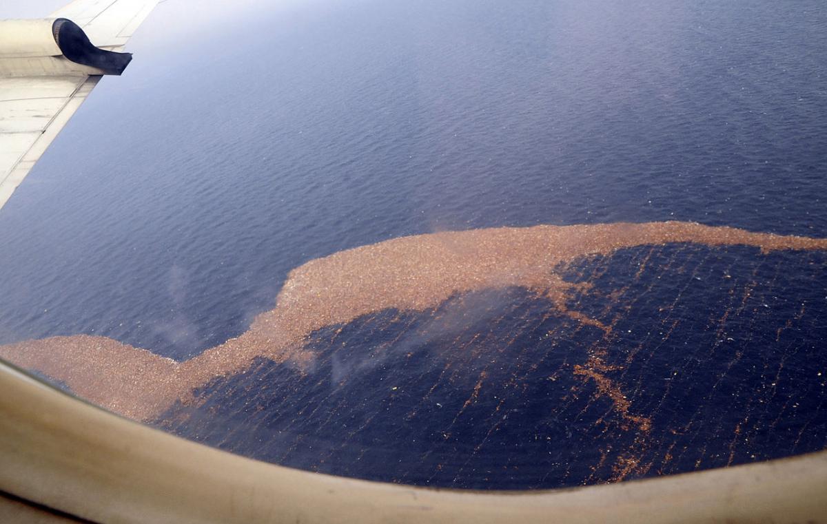 остров из пластика в тихом океане