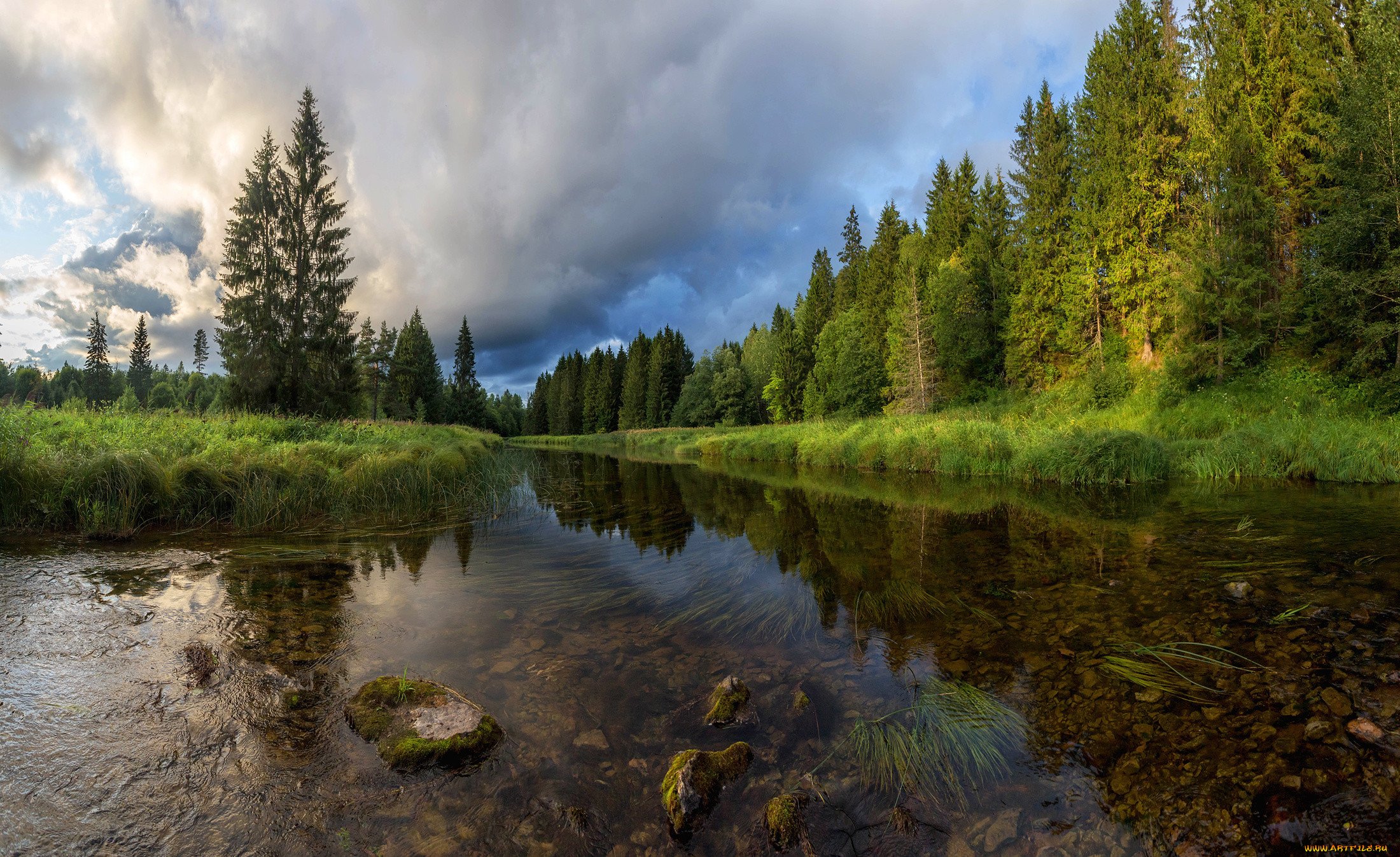 Леса и озера россии