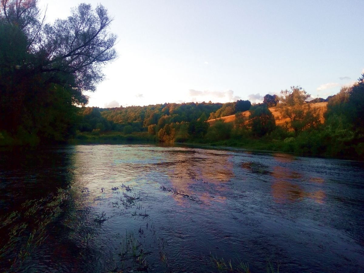 река осетр серебряные пруды
